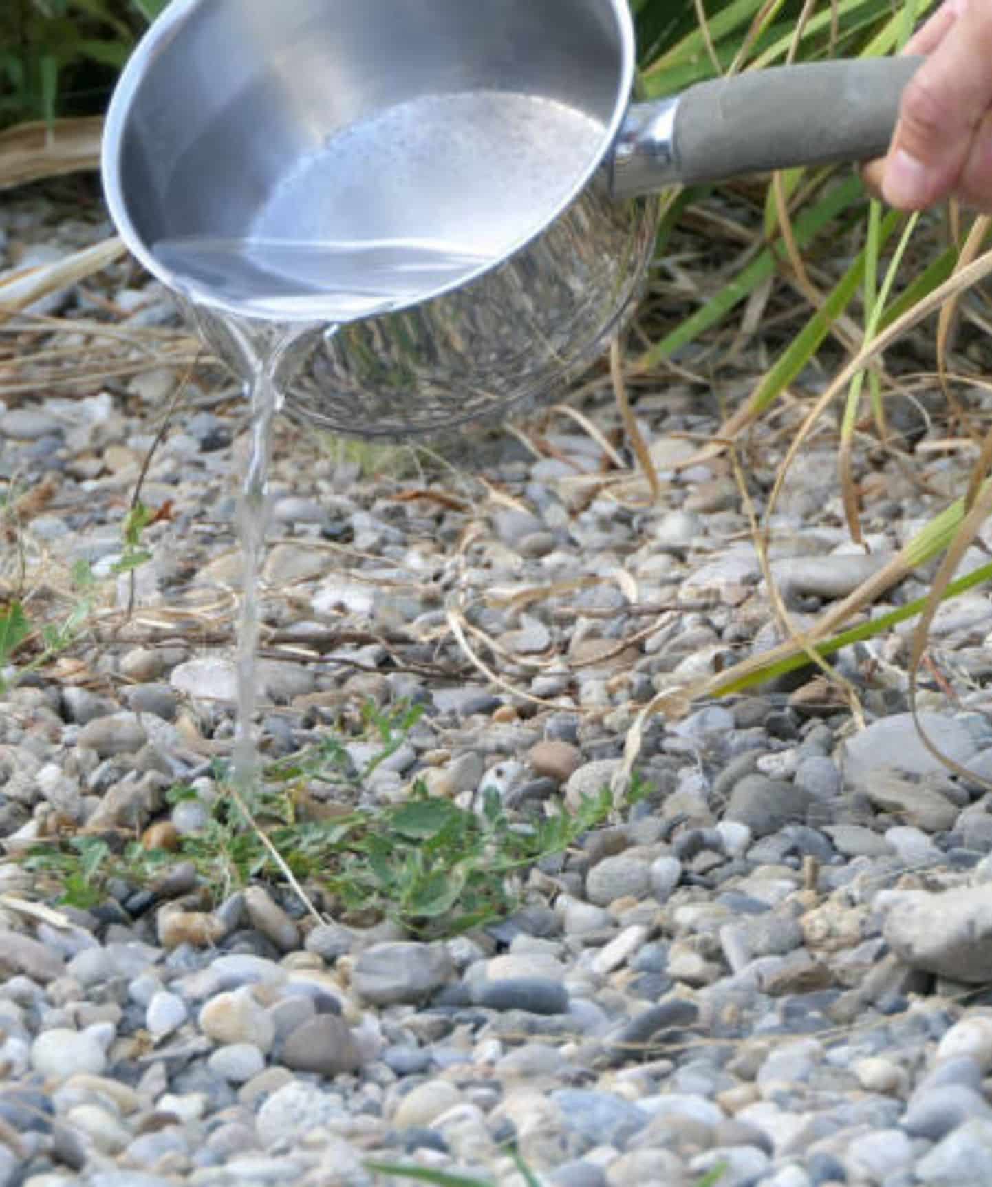 Désherbeur Manuel En Acier Inoxydable - Double Tranchant, Manche Ergonomique, Pour Jardin Et Potager
