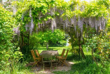 glycine
