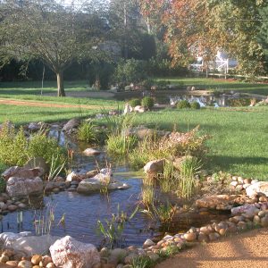 Bassin (13)